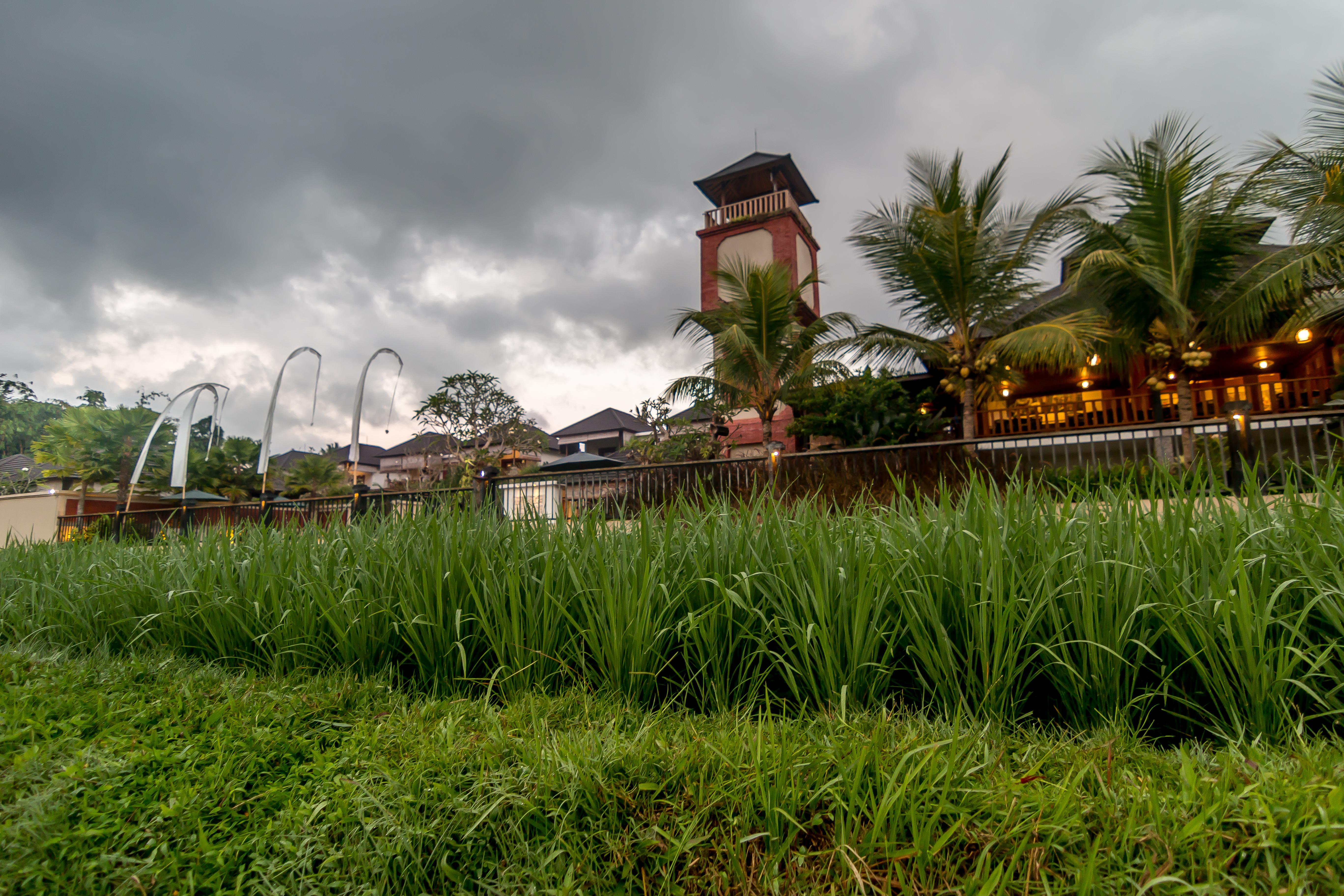 Onje Resort And Villas Убуд Экстерьер фото